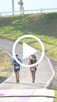 BIB:  <button type="button" onclick="openModal(26999968)" class="btn btn-primary btn-sm float-right" data-toggle="modal" data-target=".modal-high-quality">
                <i class="fa fa-download"></i> Download
                </button>